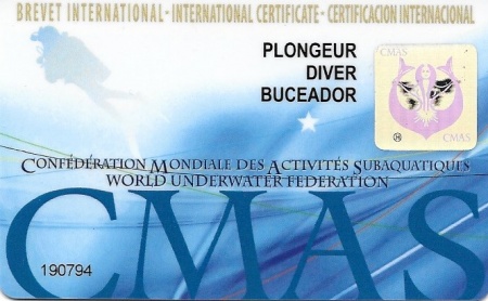 Brevet Cmas D1